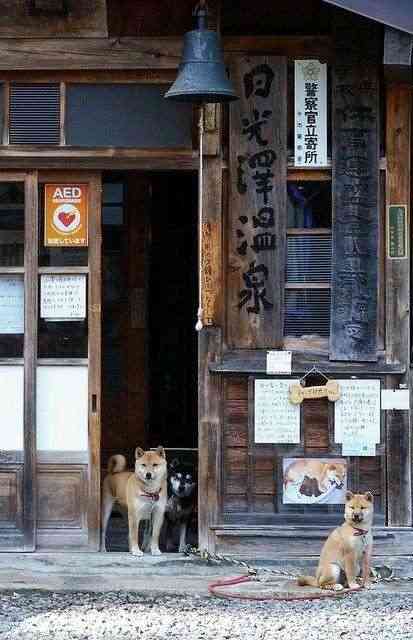 【ジャンル問わず】ただただ好きな画像を貼って立ち去るトピpart2