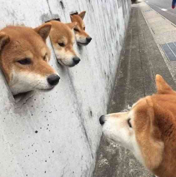 【ジャンル問わず】ただただ好きな画像を貼って立ち去るトピpart2