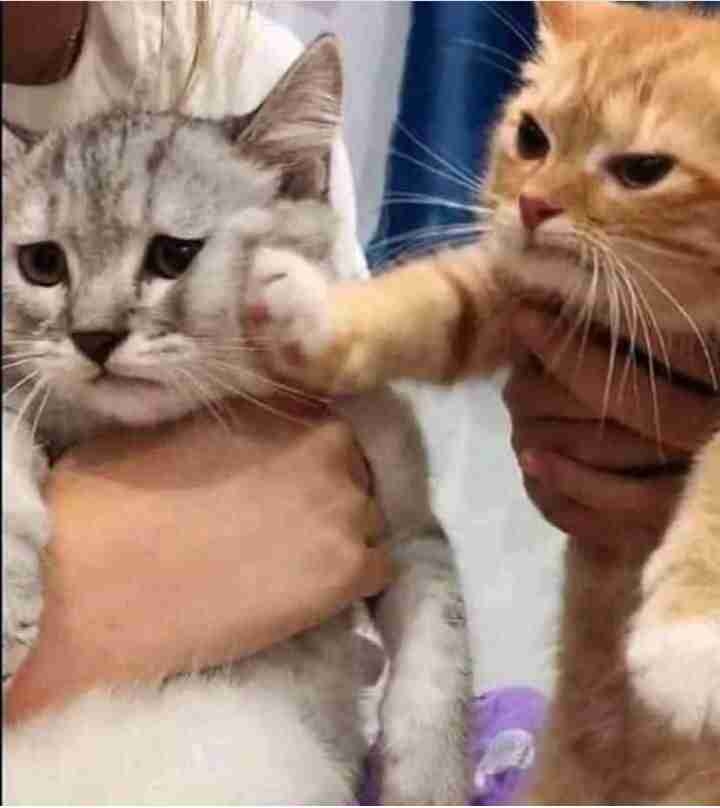 【ジャンル問わず】ただただ好きな画像を貼って立ち去るトピpart2
