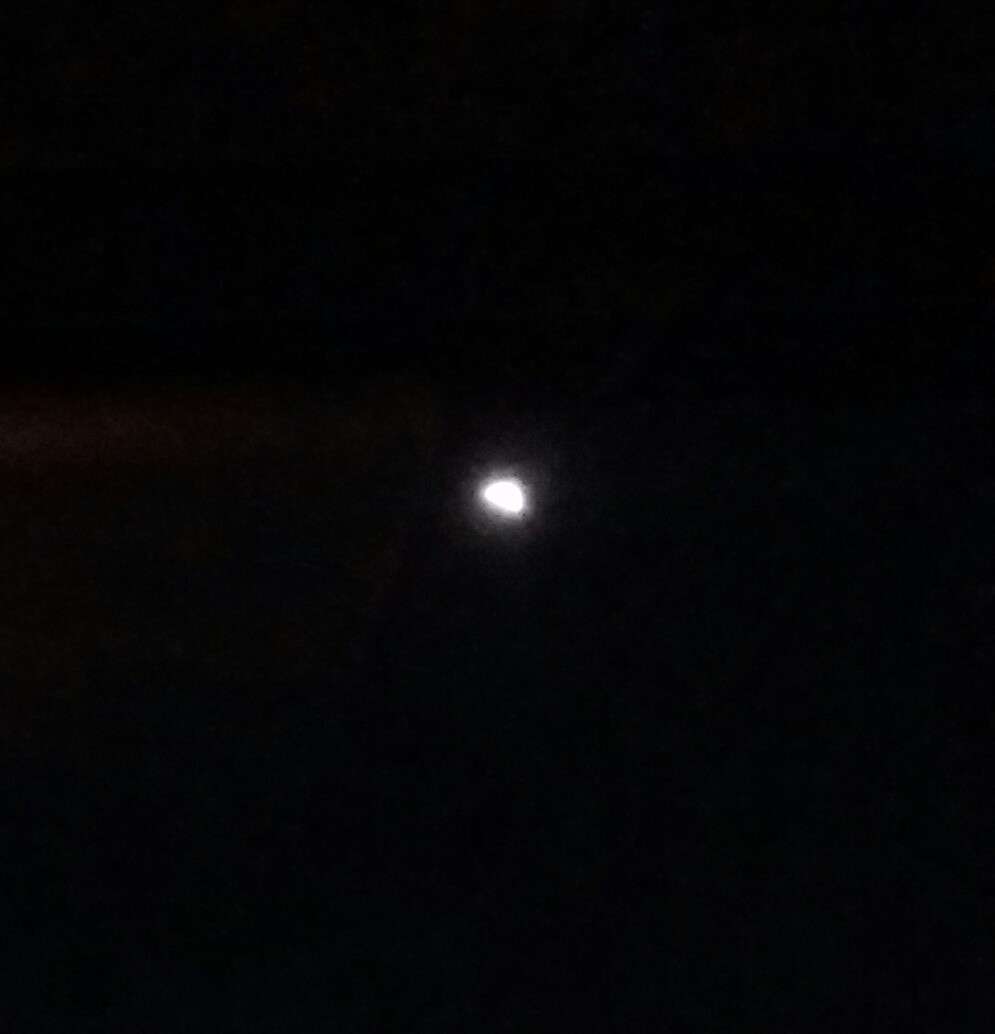 【がるちゃん】今日の皆既月食みんなで見よう【天文部】
