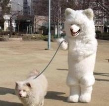 体長150センチの大型犬が逃走か　30人態勢で捜索も見つからず　「見付けても近づかず、警察へ通報を」　千葉・四街道市