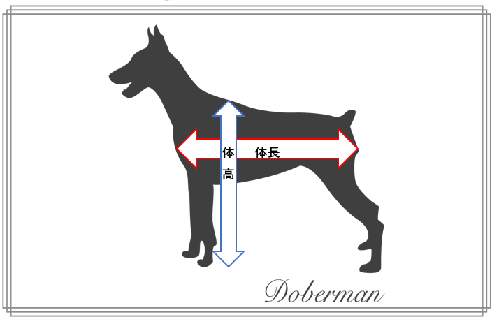 体長150センチの大型犬が逃走か　30人態勢で捜索も見つからず　「見付けても近づかず、警察へ通報を」　千葉・四街道市