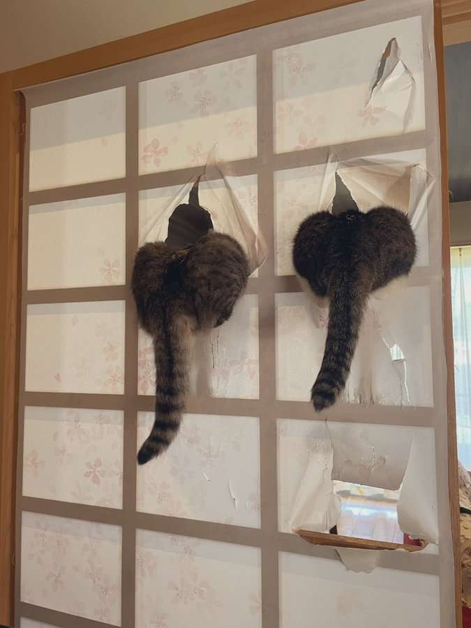 【ネタトピ】動物に質問するとその動物がアンカーを付けて答えてくれるかもしれないトピ
