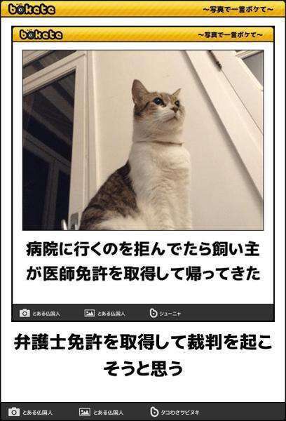 【ネタトピ】動物に質問するとその動物がアンカーを付けて答えてくれるかもしれないトピ