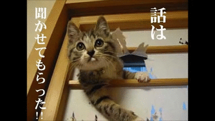 【ネタトピ】動物に質問するとその動物がアンカーを付けて答えてくれるかもしれないトピ