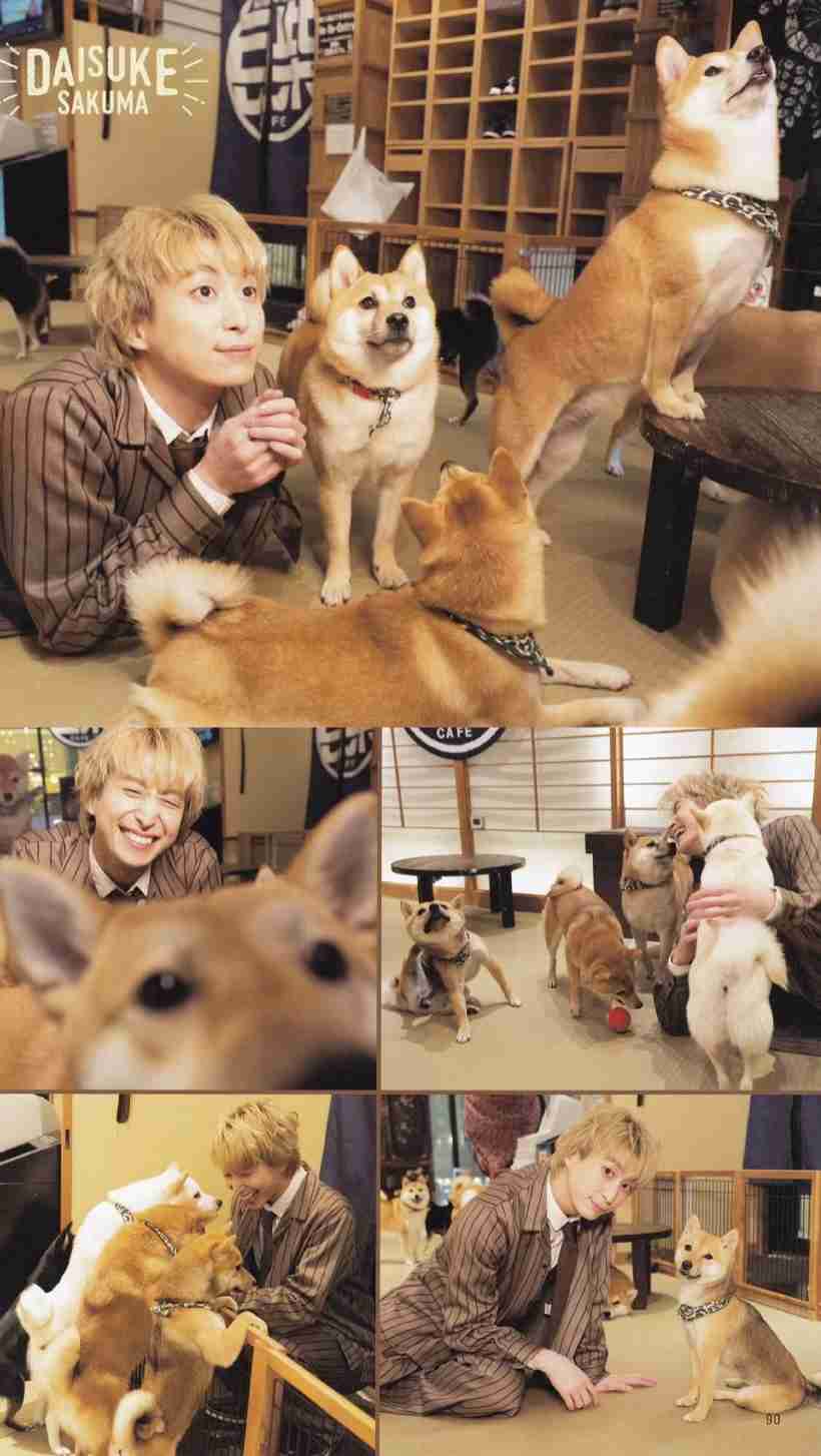 「シッポを振る犬は喜んでいる」には根拠がない…科学的エビデンスにもとづく犬の正しい接し方