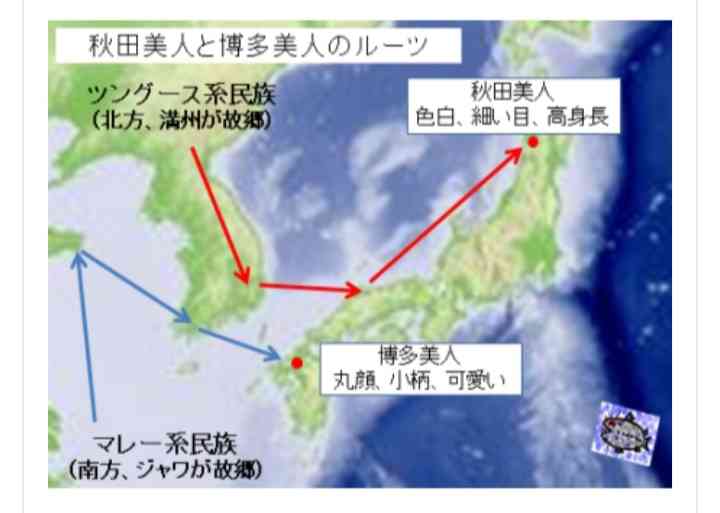 秋田県民に質問トピック