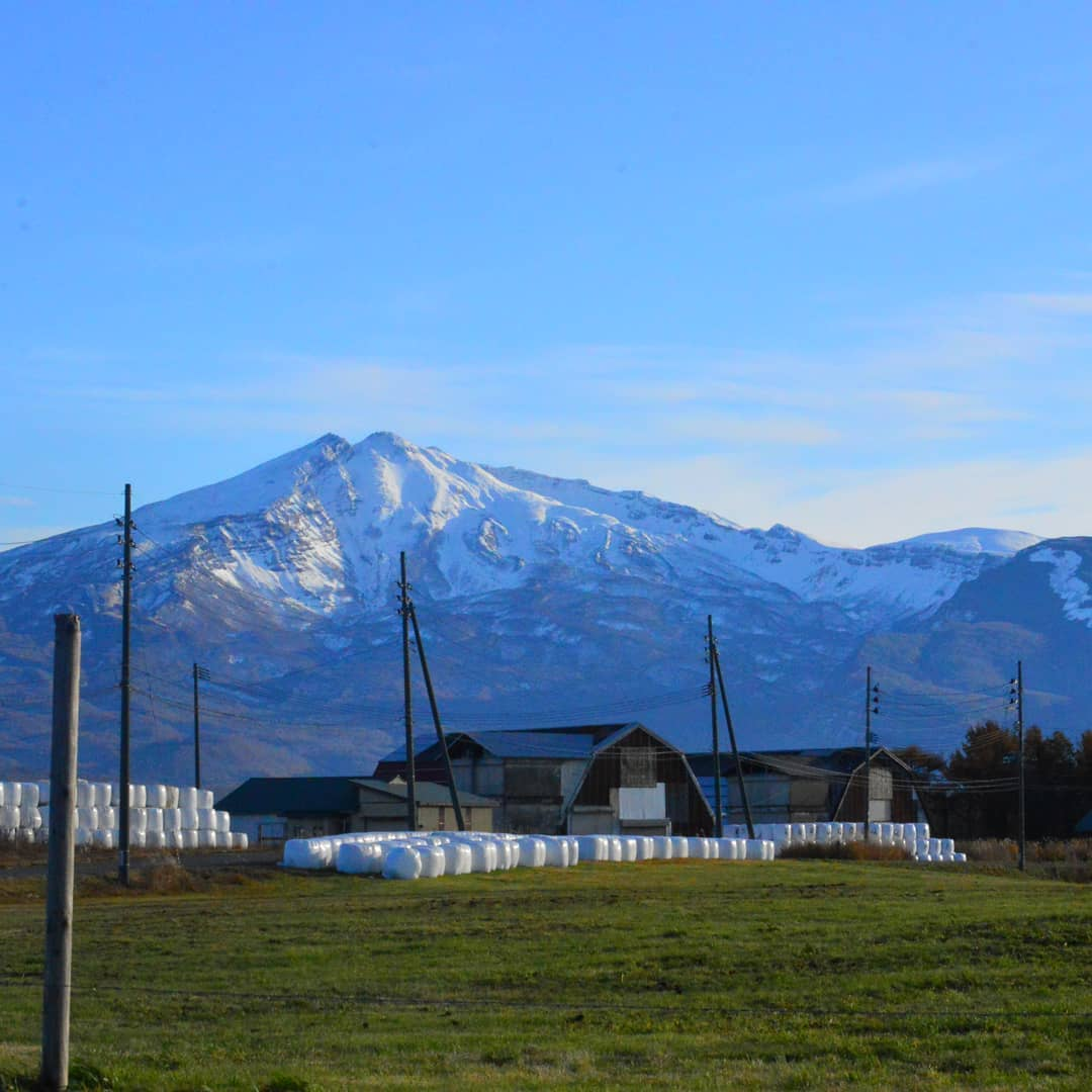 秋田県民に質問トピック