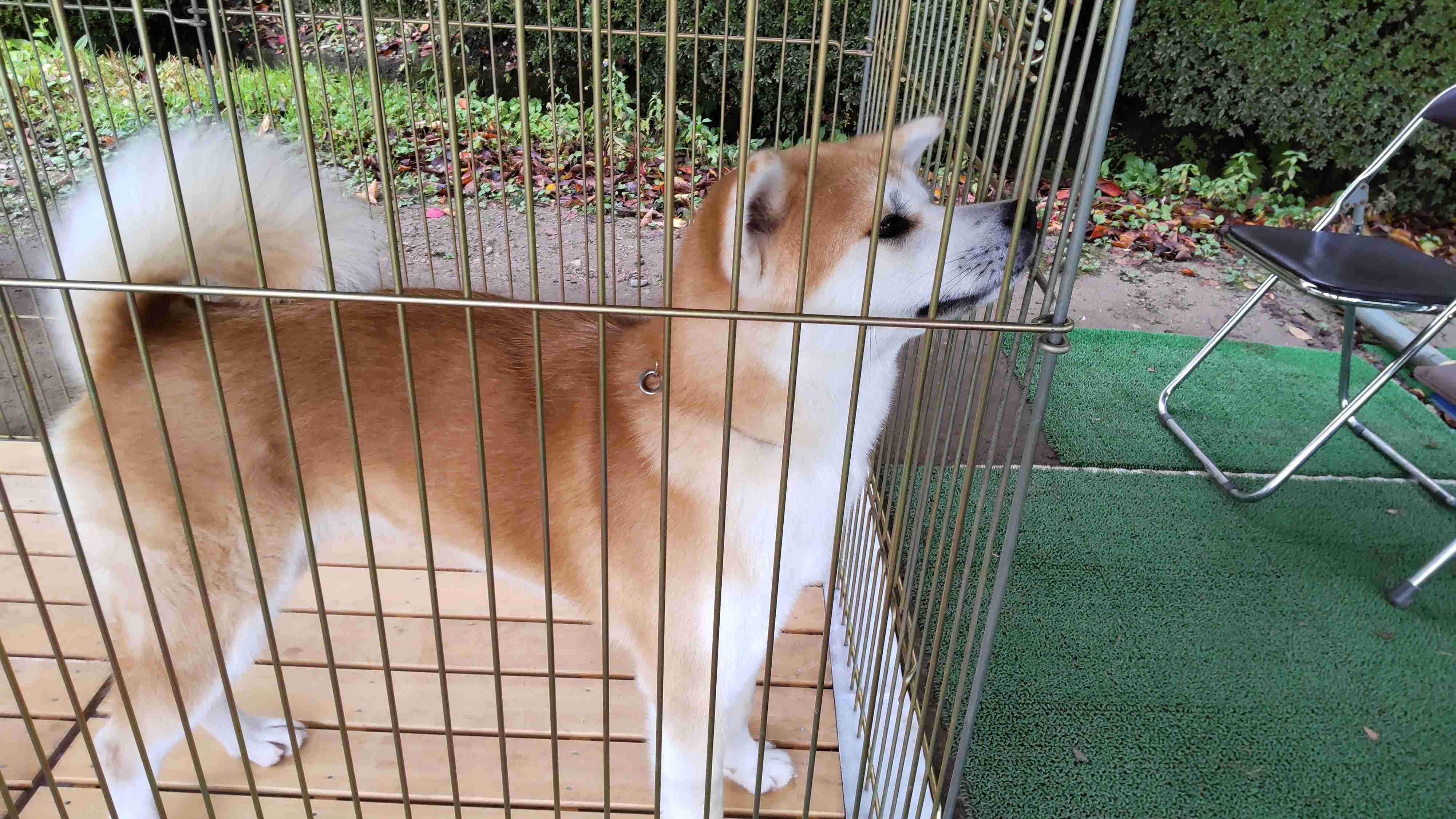 秋田県民に質問トピック