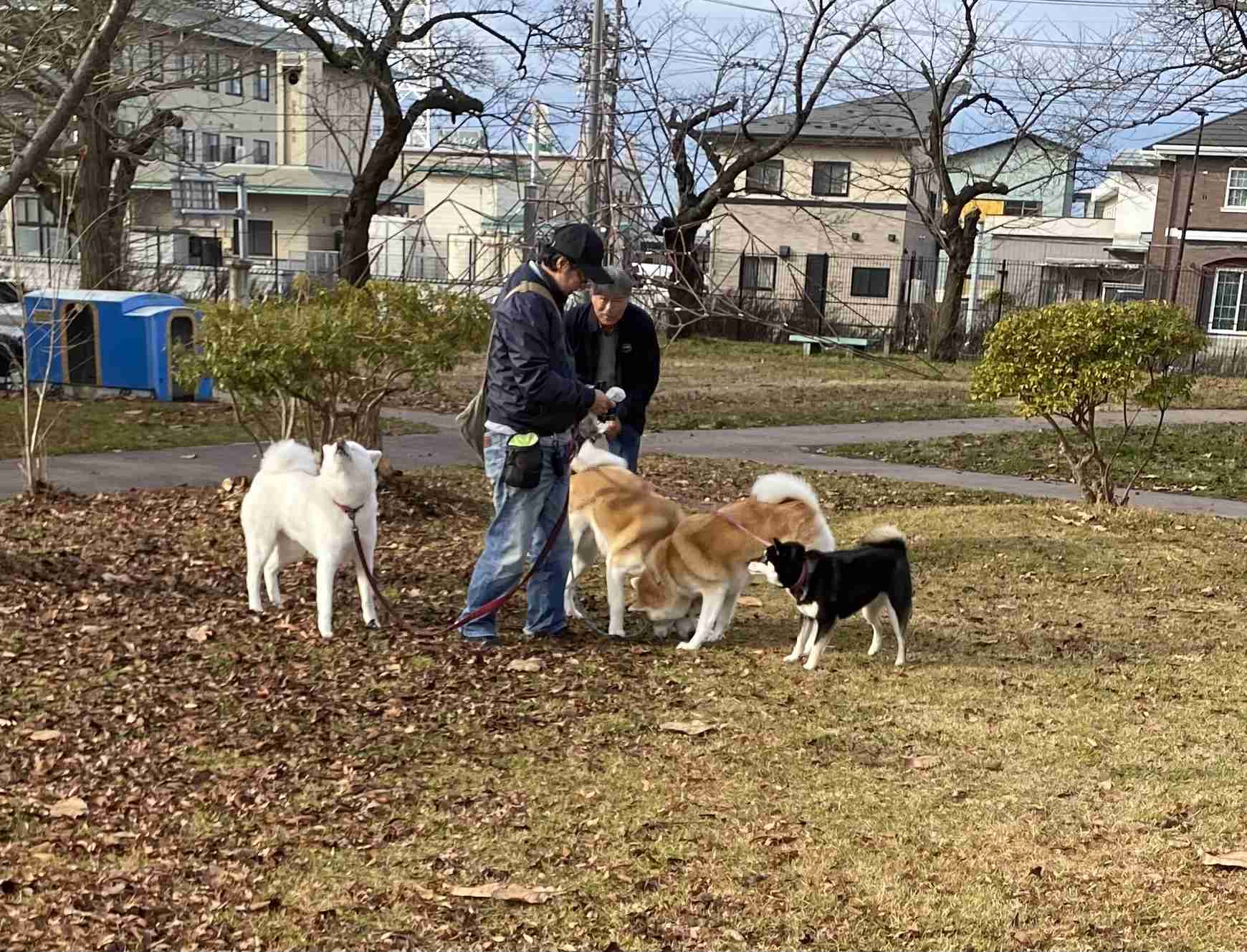 秋田県民に質問トピック