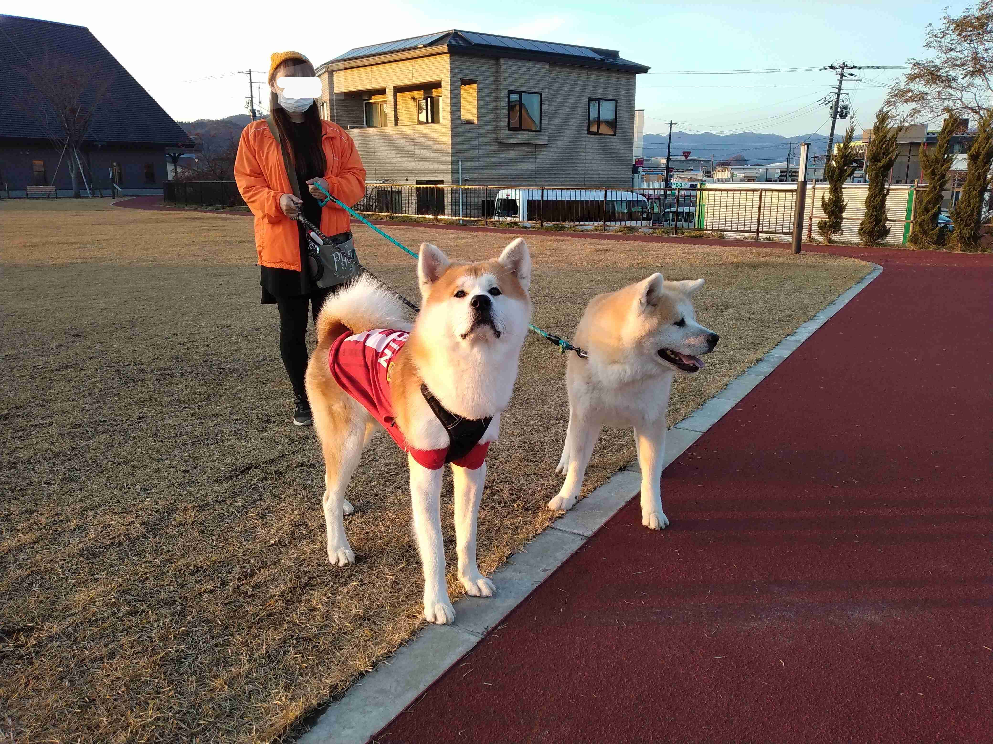 秋田県民に質問トピック