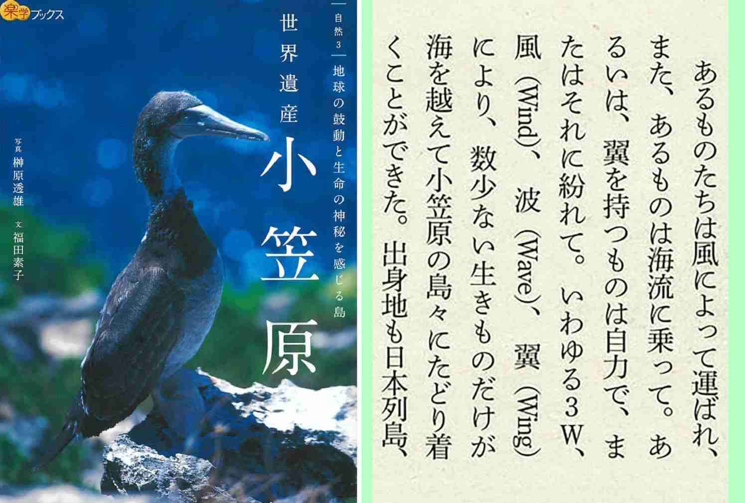 世界遺産の氷河、消滅の危機　50年までに十数カ所