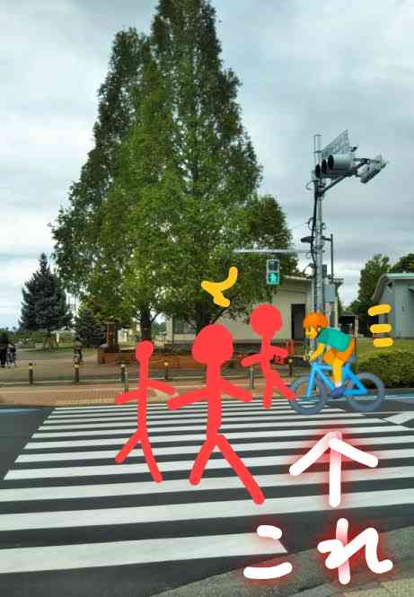歩行者信号、青で渡ったらダメ　自転車悪質走行に「赤切符」　思わぬ落とし穴も
