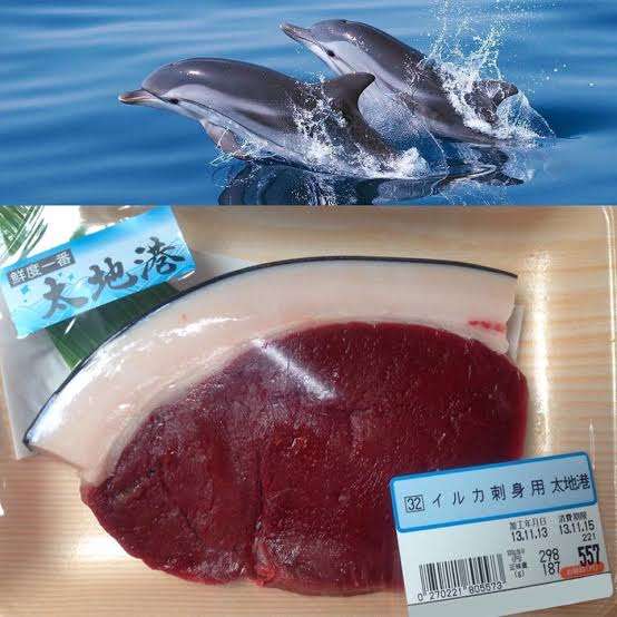 偏食の人へのお土産
