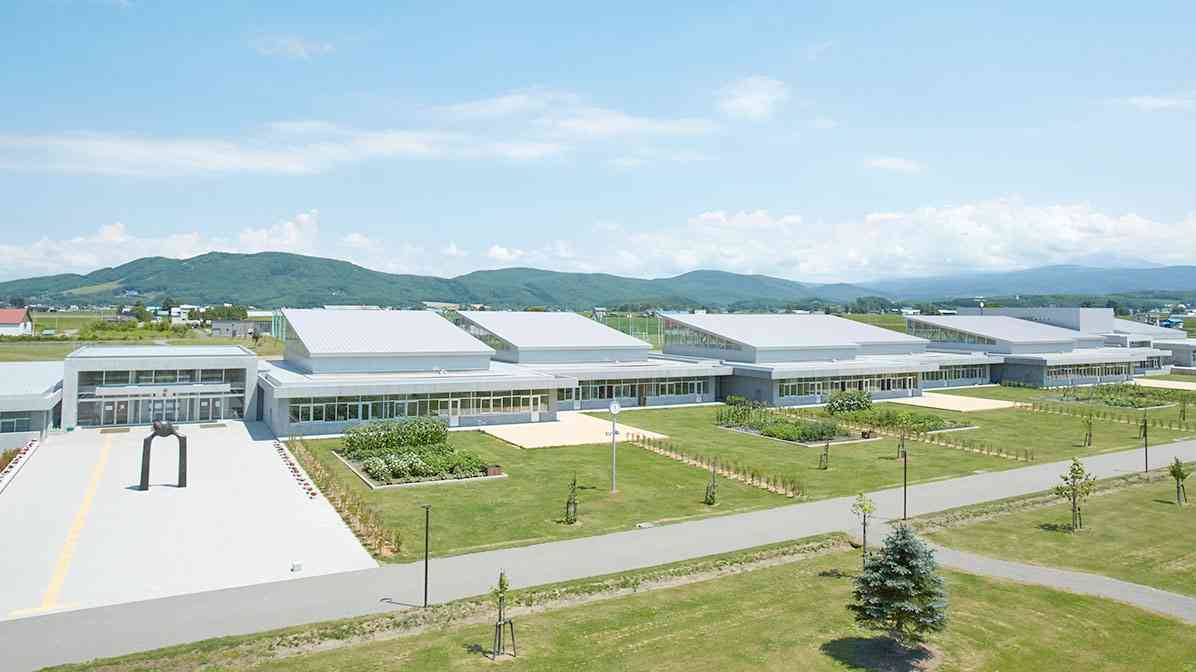 鉄道も国道も水道も無ェ…そんな北海道のド田舎に都会の子育て世代が次々と移住しているワケ