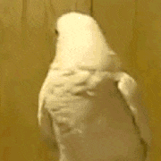Matt、運転免許証写真を“盛れるコツ”伝授 無加工写真には「証明写真まで美しいのすごすぎ」反響