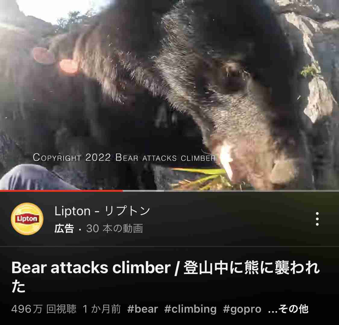 なぜヒグマは人を襲うのか? 過去70年のヒグマ事件を掘り起こしたら、衝撃の事件だらけだった