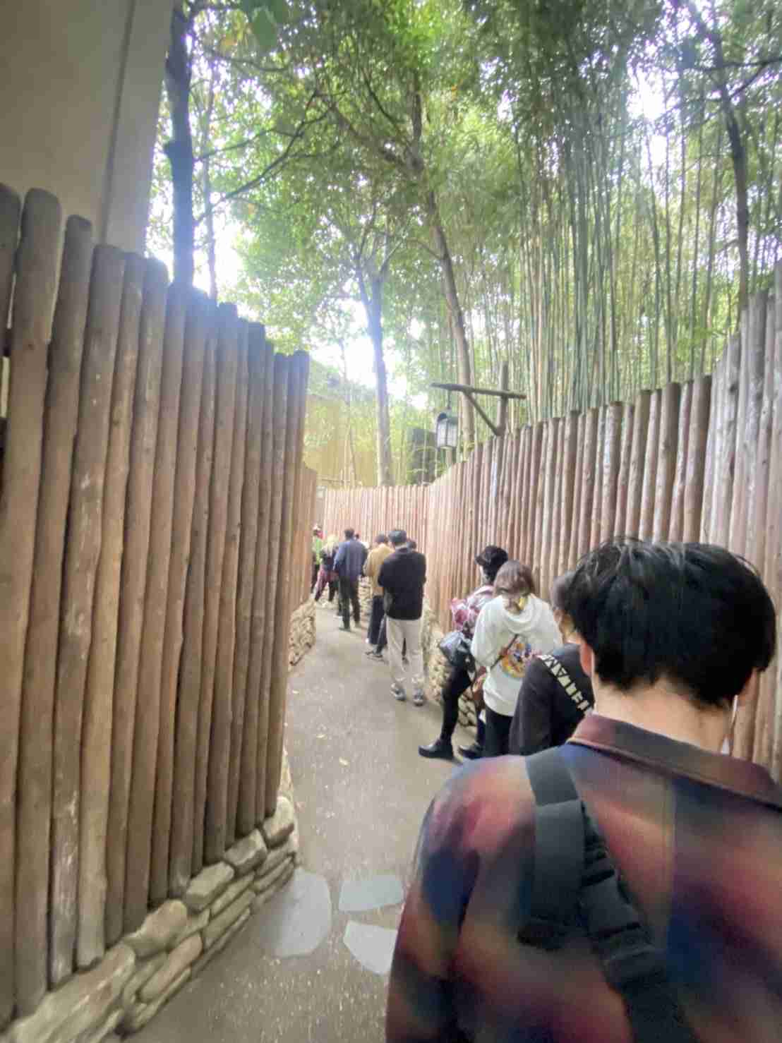 最近のディズニーリゾートはどんな感じですか？part2