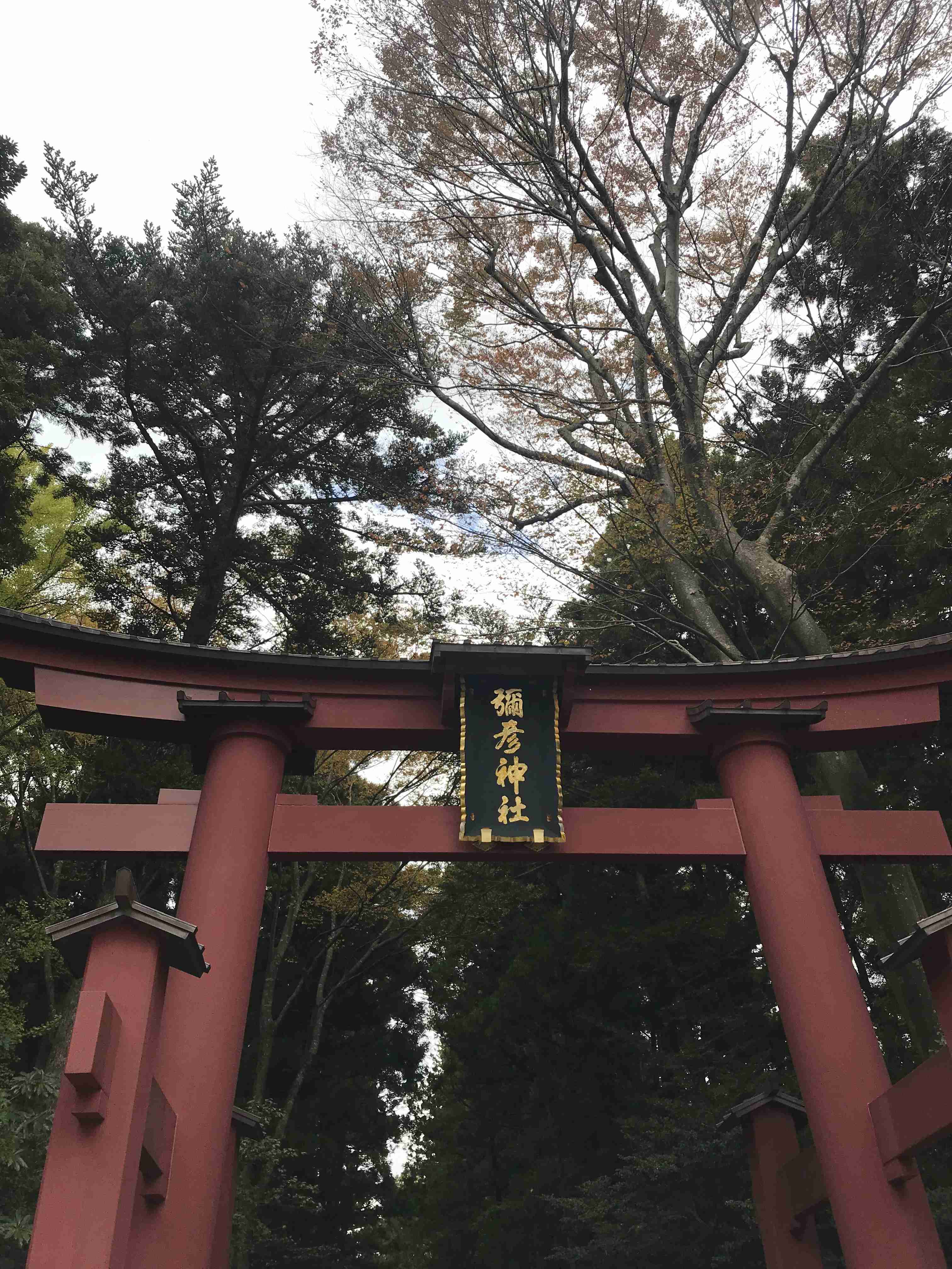 part7【他力本願上等】効果のあった恋愛ジンクス、待受、風水なんでもござれ