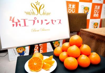みかんがおいしい季節、覚えておきたい“おいしいみかんの見分け方”→みかん県の人「経験則だから」
