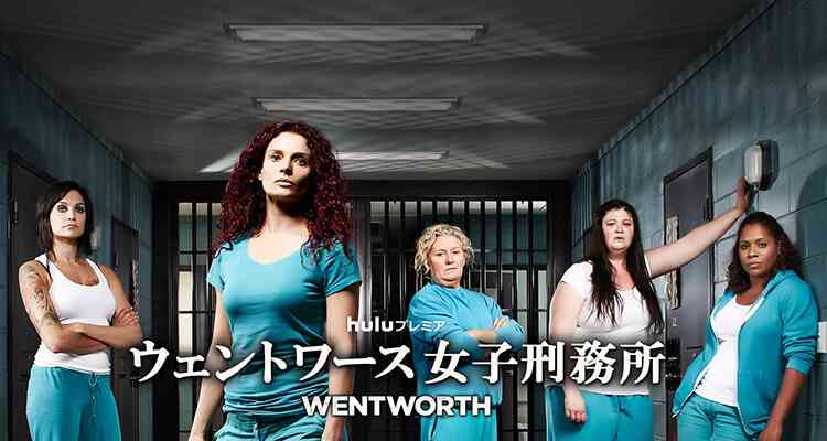 【無料期間】Huluのおすすめ番組教えてください!【1ヶ月後に解約】