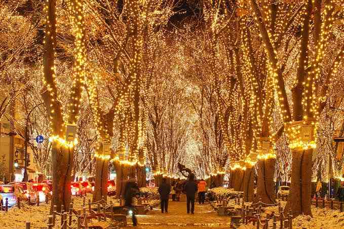 冬を彩る光！　夜景評論家がオススメする「イルミネーション5選」