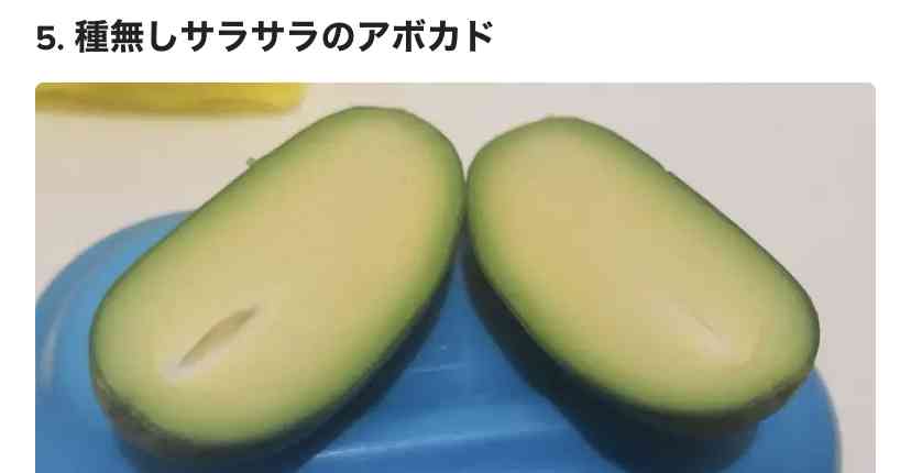 これを嫌いな女はいない