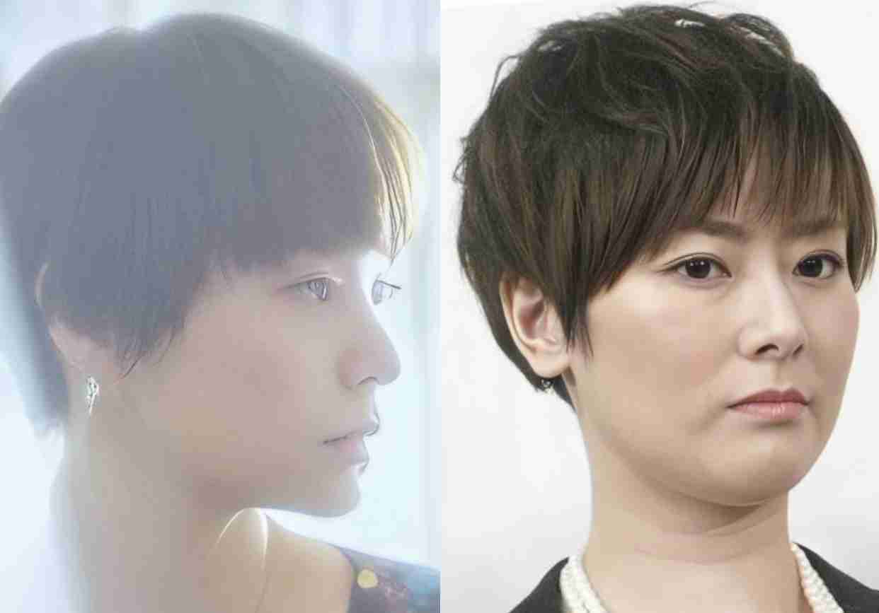  美人だと言う事を忘れてしまうけど、実は美人な芸能人