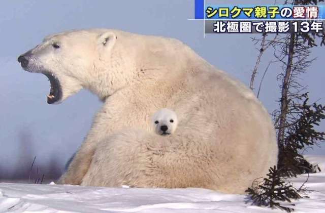 今抱きしめたいものを正直に書こう