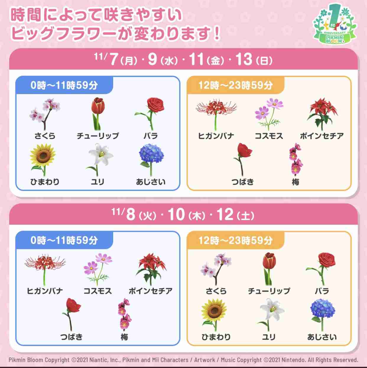 Pikmin Bloom（ピクミンブルーム）ピクミンとおでかけしよう🌼part.5