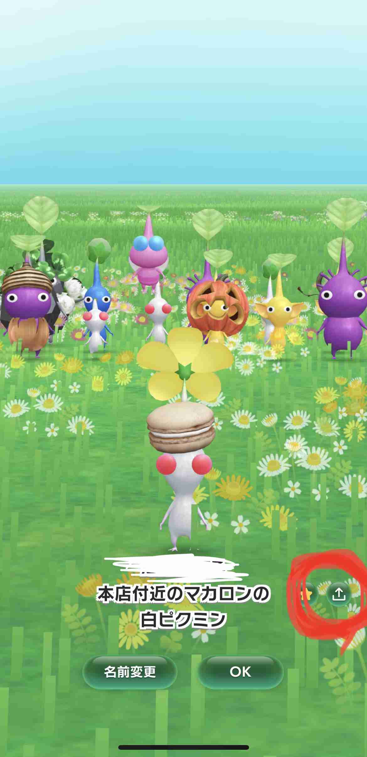 Pikmin Bloom（ピクミンブルーム）ピクミンとおでかけしよう🌼part.5