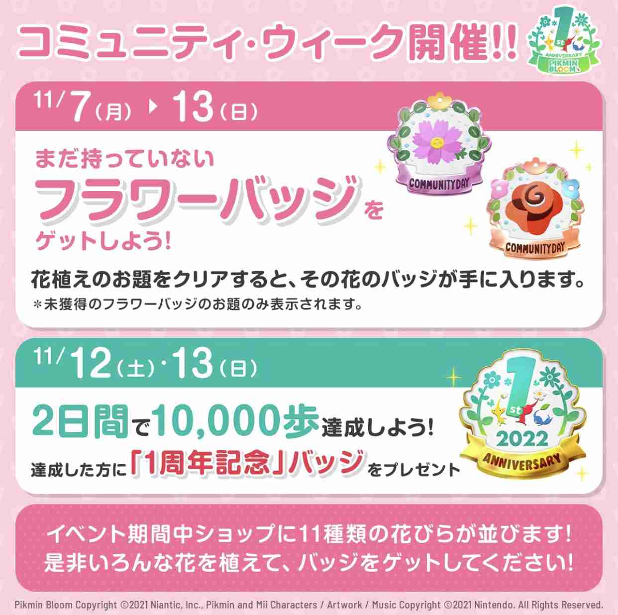 Pikmin Bloom（ピクミンブルーム）ピクミンとおでかけしよう🌼part.5