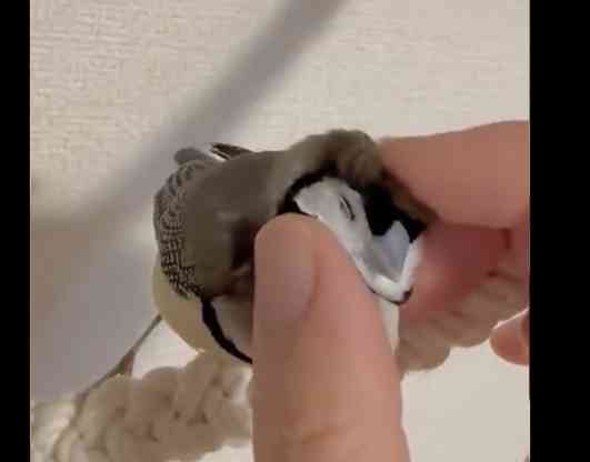 とにかく平和に雑談するトピpart13
