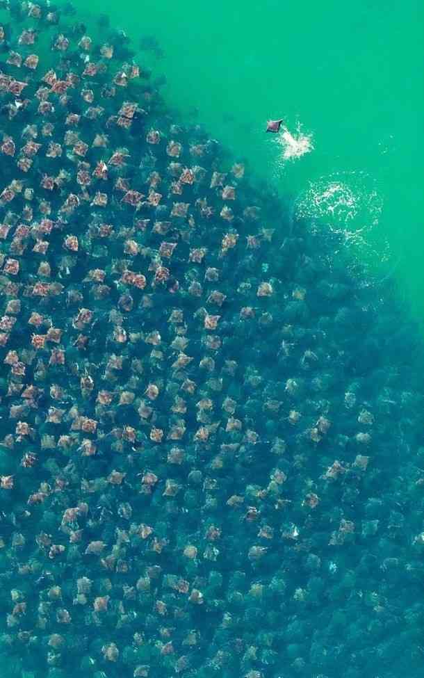 【閲覧注意】海や湖が怖くなる画像くださいPart3