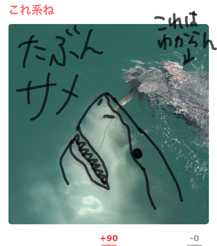 【閲覧注意】海や湖が怖くなる画像くださいPart3