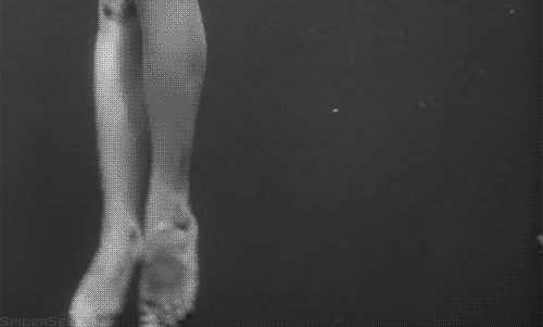 【閲覧注意】海や湖が怖くなる画像くださいPart3