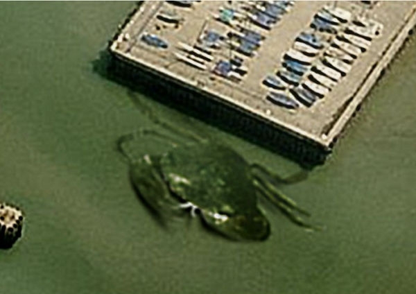 【閲覧注意】海や湖が怖くなる画像くださいPart3