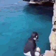 【閲覧注意】海や湖が怖くなる画像くださいPart3