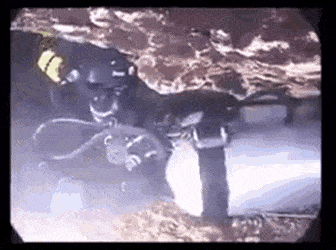 【閲覧注意】海や湖が怖くなる画像くださいPart3