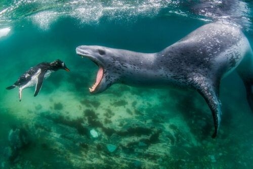 【閲覧注意】海や湖が怖くなる画像くださいPart3