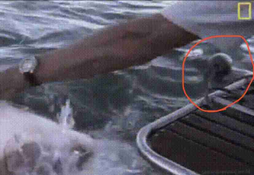 【閲覧注意】海や湖が怖くなる画像くださいPart3