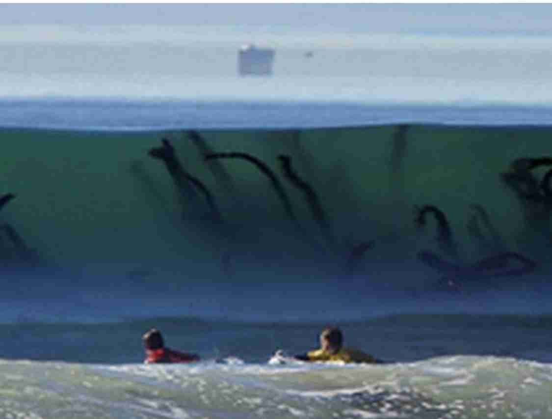 【閲覧注意】海や湖が怖くなる画像くださいPart3