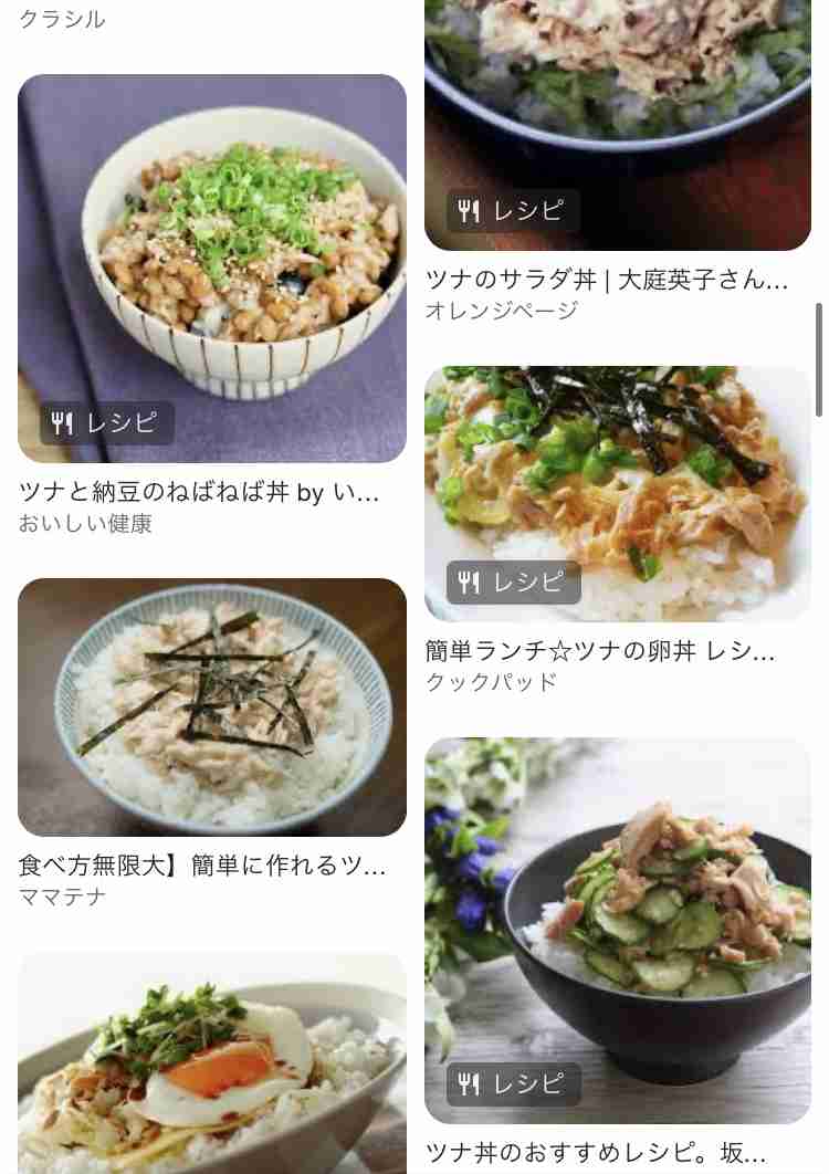 夫「これ俺に食えって言うの? 料理って言えるの?」 夕飯にツナ丼を出したら不満を言われた新婚妻