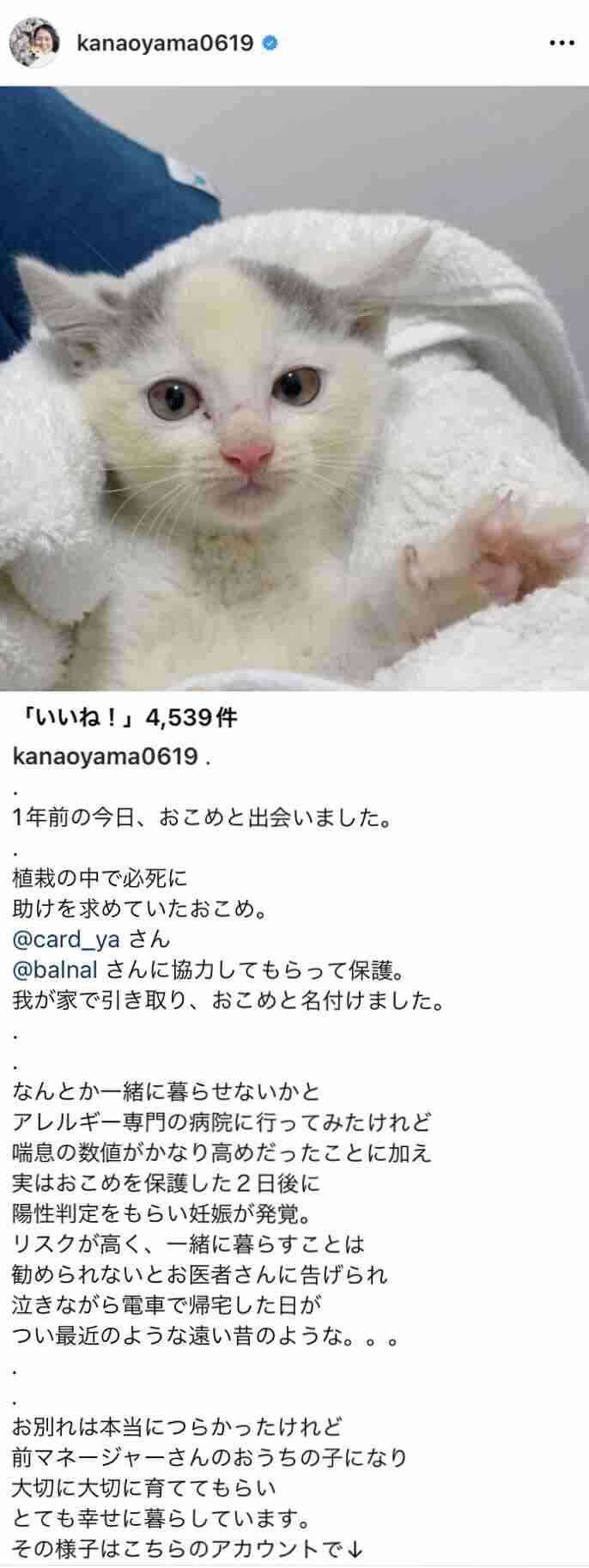 双子ベビーカー乗車拒否を問題提起の大山加奈氏 バス会社と意見交換会「素晴らしい時間」