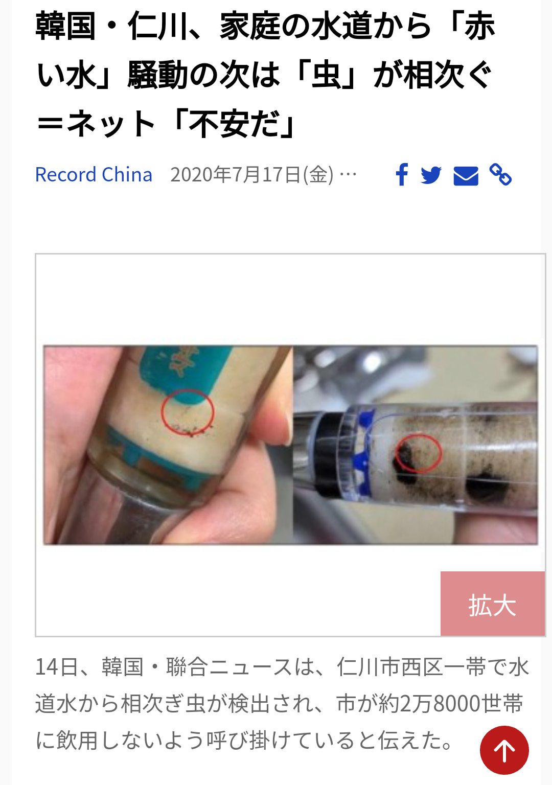 「水道水の味が違う」「ウクライナではゴミを分別しない」ウクライナ避難民の17歳少女が日本で感じた“カルチャーショック”とは