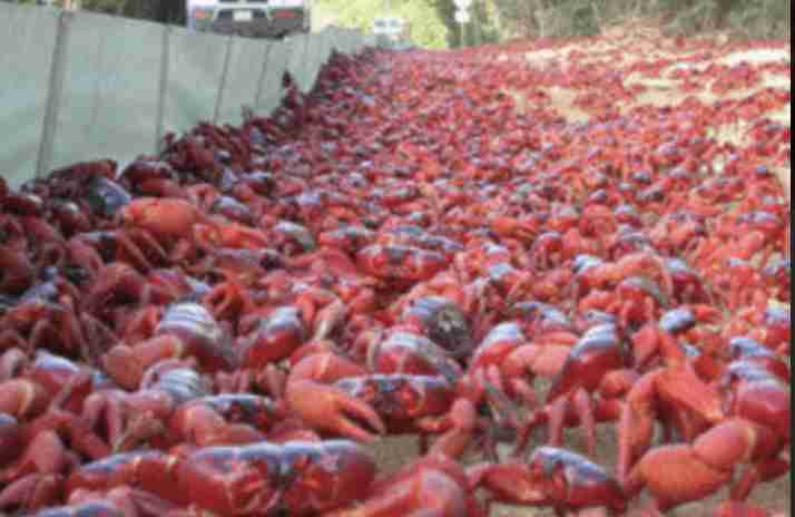 友人からの写真、背景を見てゾッとした…　奈良県の日常が「どう見ても合成」と話題