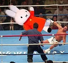 プロレスのテーマソング好きな人！