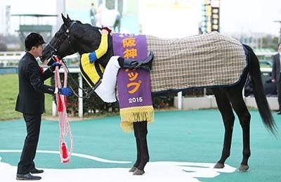 名前を知ってる競走馬はプラスで