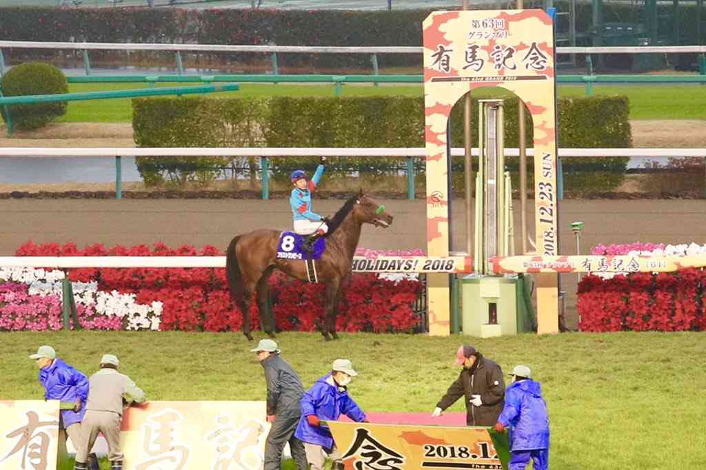 名前を知ってる競走馬はプラスで