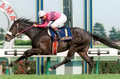 名前を知ってる競走馬はプラスで